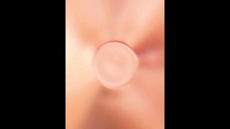 Don't Stop, Don't Quit,  Keep Going, Stay Humble