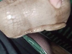 Brown dinosaur fun - Screenshot 4 of 16 - Plush