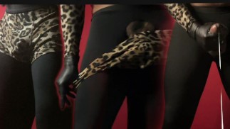 Show de exibição movimentos de strip tease dança sedutora performace de sensualidade e provocação