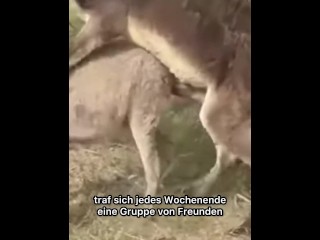 ОНИ ТАКИЕ ЖЕ, КАК И МЫ 😱!