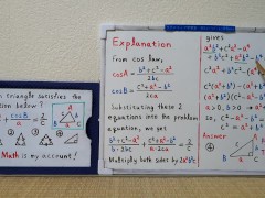 Which triangle satisfies the equation below?[JapanMath](Lesbian)