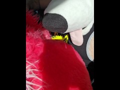 RISKY PLAY! @AsuFoXXX can't resist @AngryBarks bone in the backseat of the UBER!