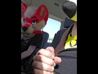 РИСКОВАННАЯ ИГРА! @AsuFoXXX не могу устоять перед @AngryBarks костью на заднем сиденье UBER!