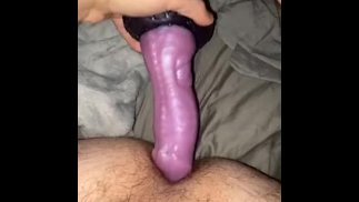 Щенок дракона играет со своим ноксом