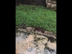 Preparativos agua a presion