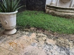 limpiando con agua a presion