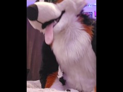 @AngryBarks Praises Edges and Ruins his Orgasms with you 💦 #praisekink #ruinedo #pouringcum