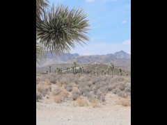 I Almost Got Arrested For This