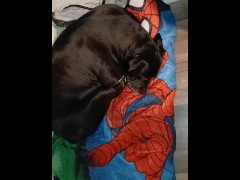 Testing microphone - Screenshot 1 of 16 - Amateur