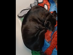 Testing microphone - Screenshot 11 of 16 - Amateur