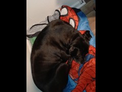 Testing microphone - Screenshot 14 of 16 - Asmr Audio