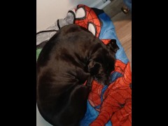 Testing microphone - Screenshot 15 of 16 - Amateur