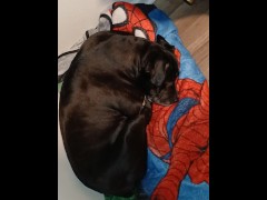 Testing microphone - Screenshot 5 of 16 - Amateur