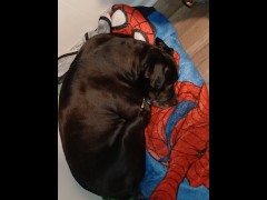 Testing microphone - Screenshot 6 of 16 - Asmr Audio