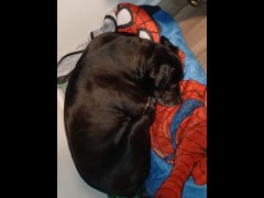 Testing microphone - Screenshot 7 of 16 - Amateur