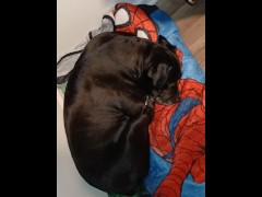 Testing microphone - Screenshot 8 of 16 - Asmr Audio