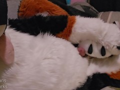 Watch Paw Slut @AngryBarks get Hard and Fuck his Feet Paws until he Cums on his Fuzzy Puppy Belly 🔥