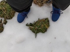 尿意を催した状態でパンツをタイマー付き南京錠でロックし外出。ロックが解除されたらすぐに脱いで放尿。