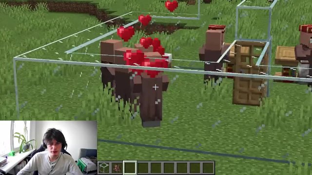How to make villagers fuck in Minecraft