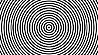 Тебе не нравится тон моего голоса?