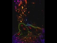 The way the water look running off my dick is pretty cool with this filter