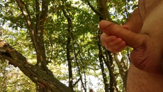 Calm long jerking off my big cock in public forest. Iamhornybobo