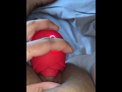 Rose sucking my clit