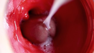 屄内的相机：强大的射精在屄！4K以上精子的最佳内部ASMR