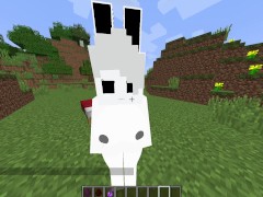Emmy Is Hot Minecraft jenny xhatihentai gameplay