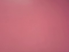 I have nothing up my butthole Officer, I swear!