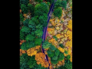 коротышка последняя новенькая