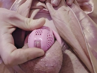 Sissy в клетке