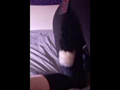 Tail 1 - Screenshot 13 of 16 - Puppy