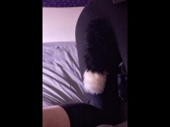Tail 1 - Screenshot 5 of 16 - Pet Play