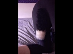 Tail 1 - Screenshot 7 of 16 - Puppy