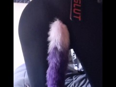 Ass slapping - Screenshot 11 of 16 - Tail Plug