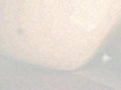 Sexy drawing animation Crossdresser fuck shemale.