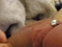 Beautiful Frenum Cock " hard with bowtie"