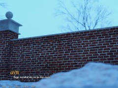 BEING A DIK #215 • Visual Novel PC Gameplay [HD]