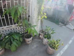 Philippines, Angeles