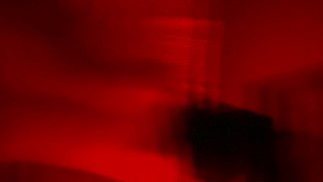 POV: Стиль собаки с маленькой сводной сестрой