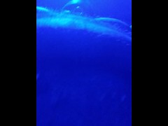 Swallow. - Screenshot 11 of 16 - Female Pov