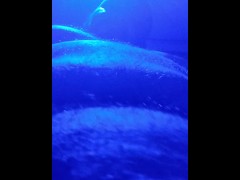 Swallow. - Screenshot 16 of 16 - Female Pov