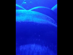 Swallow. - Screenshot 5 of 16 - Ugly Man