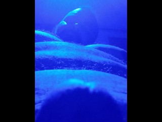 Swallow.