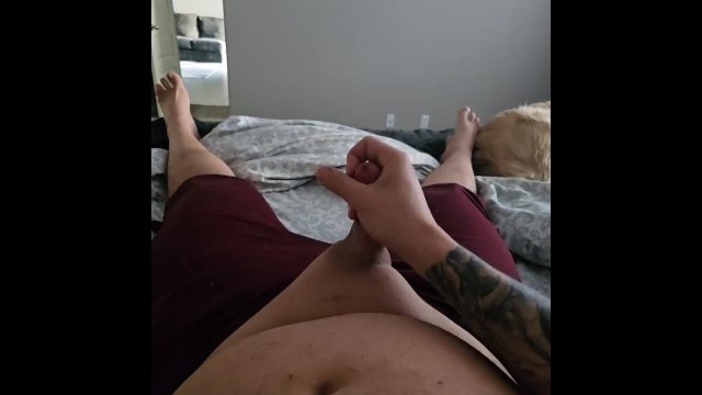 Morning Wood