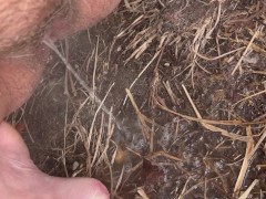 Hot piss on cold morning