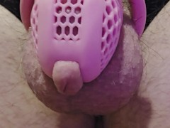 Sissy Caged 3 - Screenshot 14 of 16 - Solo Male