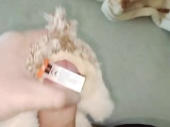 Gray wolf - Screenshot 10 of 16 - Plush