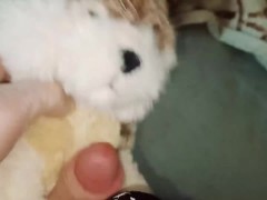 Gray wolf - Screenshot 6 of 16 - Plush